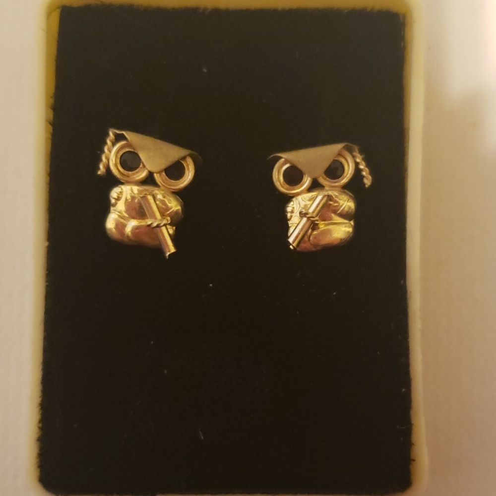 Graduation Owl screw back earrings